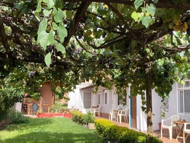 Samailandia Backpack Hotel Samaipata Bagian luar foto